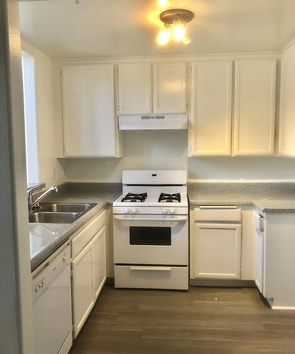 Cochran Island Apartments — Photo 4
