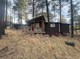 29 Circle Dr, Mayhill, NM 88339