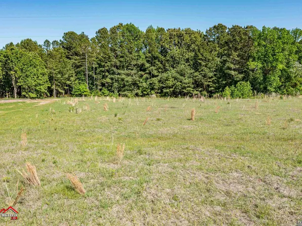 1015 Collins Rd Lot 3, Hallsville, TX 75650