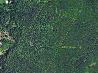 166 Steep Hill Rd, Ashland, NY 12496