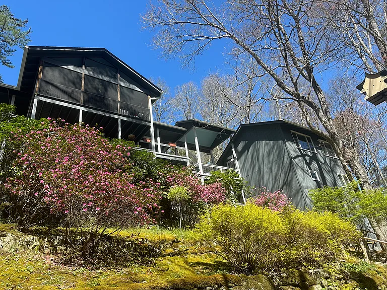 156 Mount Lori Dr #1 — Photo 38