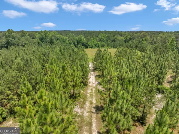 0 Archer Pond/smith Rd, Adrian, GA 31002