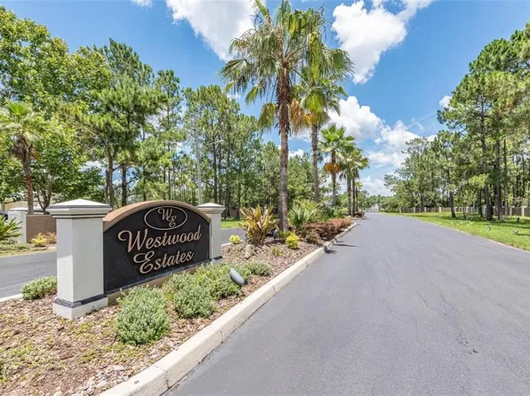 8616 Spring Forest Ln Lot 69, Wesley Chapel, FL 33544