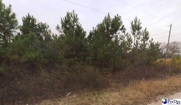 2nd image of Pygatt Rd