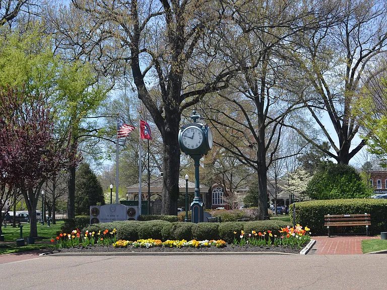 Carrington at Schilling Farms — Photo 23