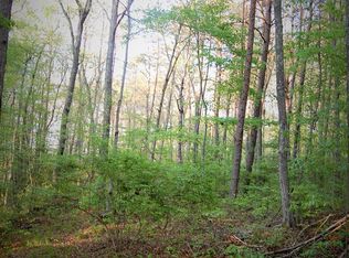 0 Stage Coach Ln, Coalmont, TN 37313