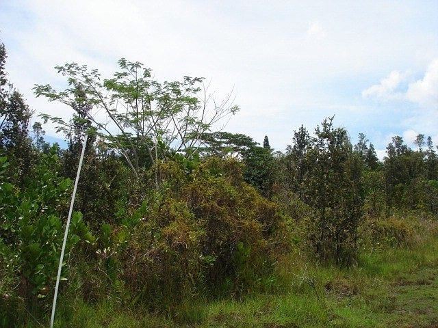1st image of H Ave Lot 3032