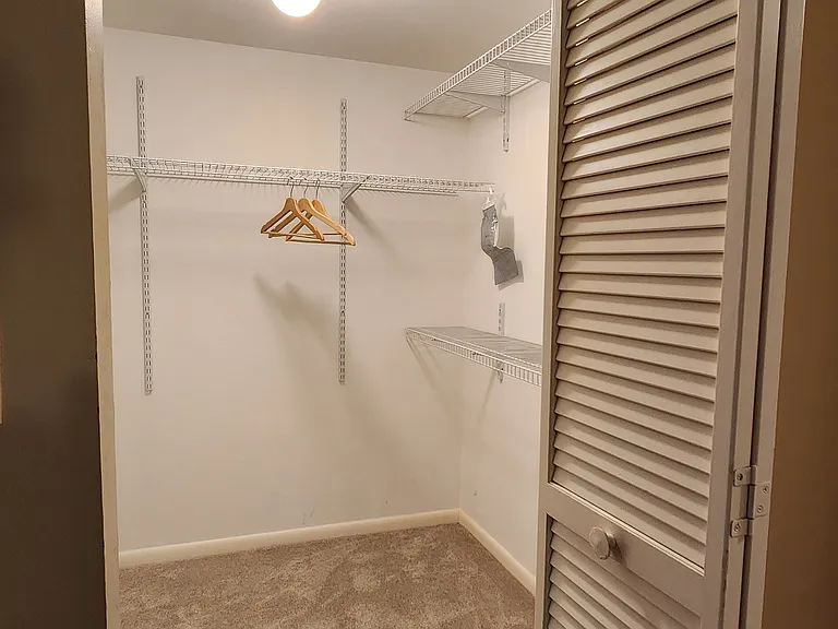 Master walk in closet