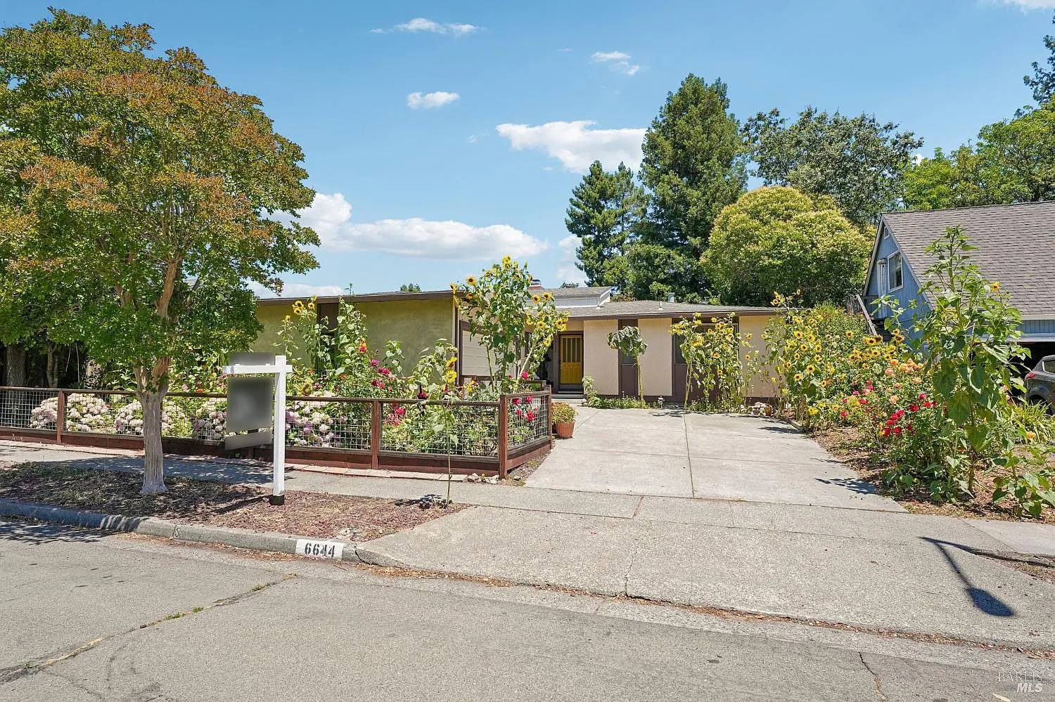 6644 Greenmeadow Drive - Photo 2