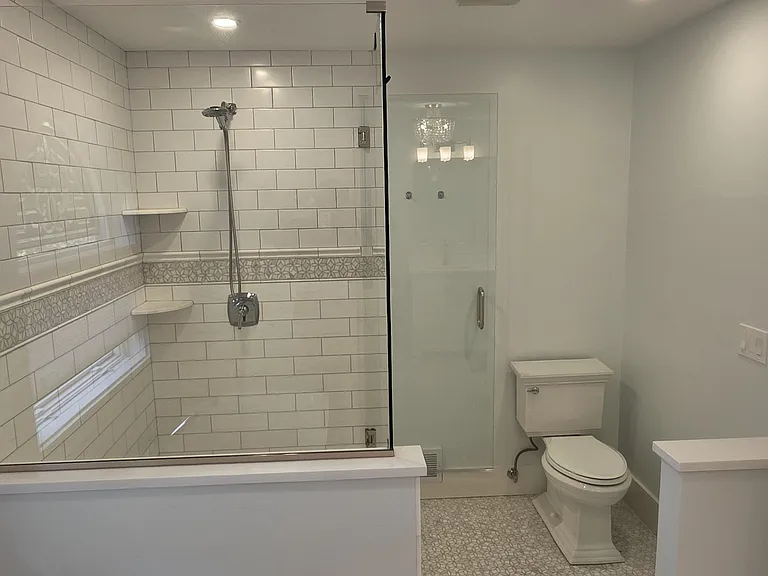 Primary bathroom walk-in shower and toilet.