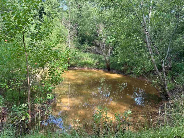 3285 County Road 1101, Rusk, TX 75785