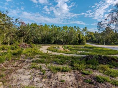 374 NE 796th St, Old Town, FL, 32680