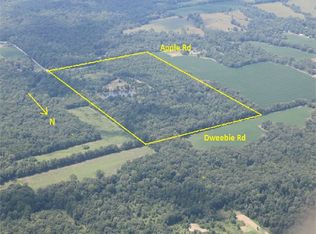 6351 Apple Rd, Iuka, IL 62849