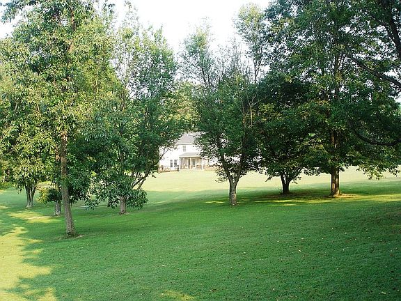 Rear from end of property