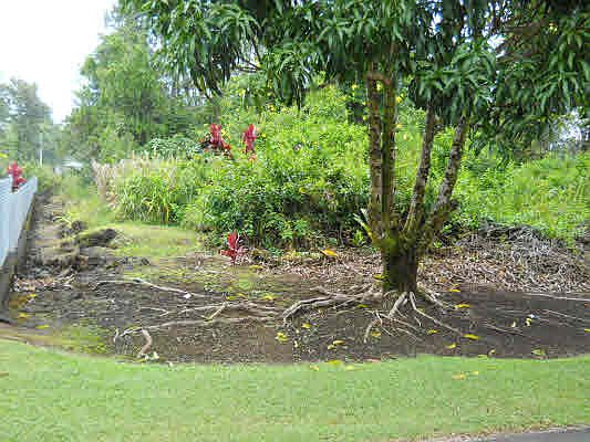 5th image of Alamihi St Lot 210
