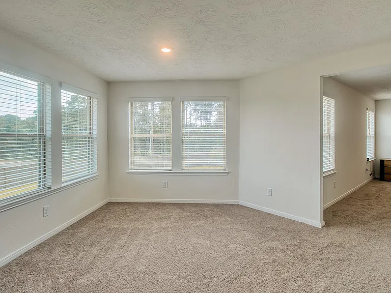 3539 Sage Green Trl — Photo 26