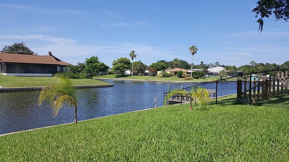 Queen Ann Palms and VIEW