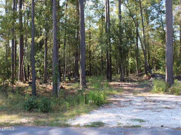 230 Appleby Ave E, Estill, SC 29918