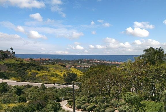 Walk to Salt Creek Beach