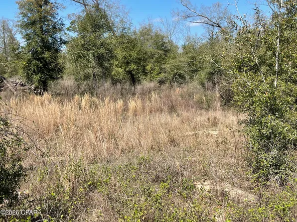 0 Speights Way, Bascom, FL 32423