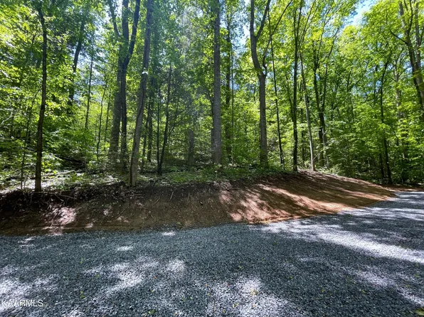 0 Cosby Hwy, Cosby, TN 37722