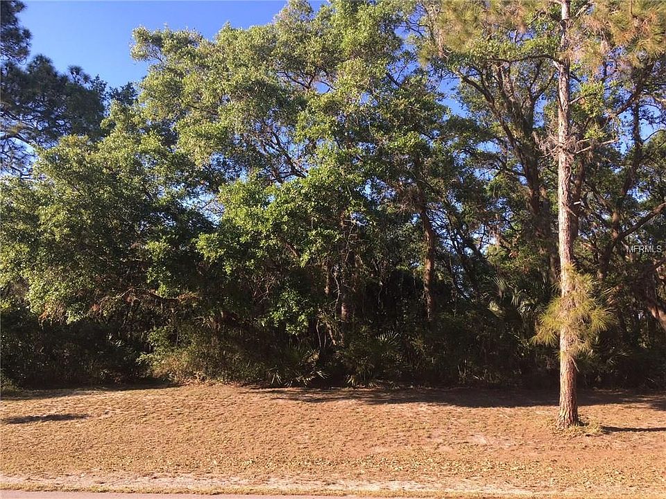 2nd image of Banana Ave