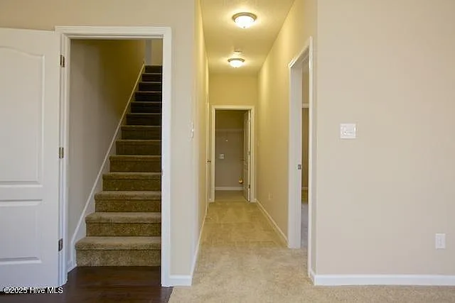 808 Solomon Dr — Photo 5