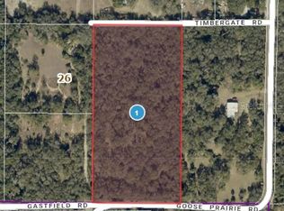 10755 Goose Prairie Rd, Leesburg, FL 34788
