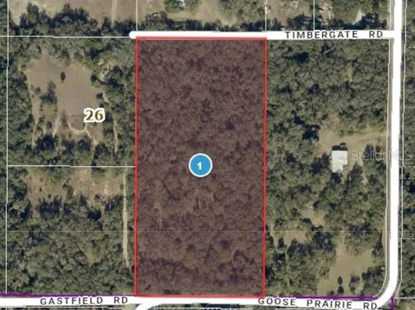 10755 Goose Prairie Rd, Leesburg, FL 34788