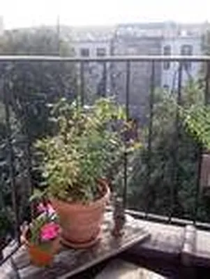 Rented by R New York | media 19