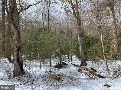 Pryor Rd, Thurmont, MD, 21788