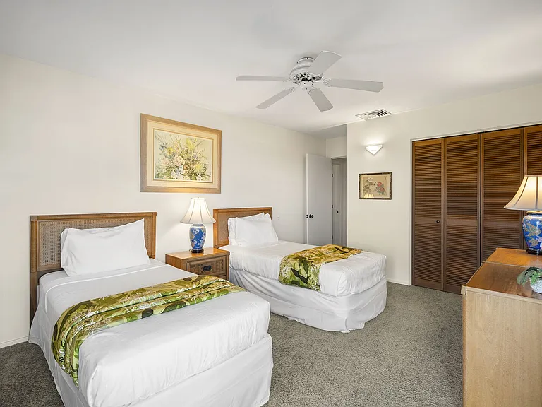 Wailea Alanui Dr — Photo 30