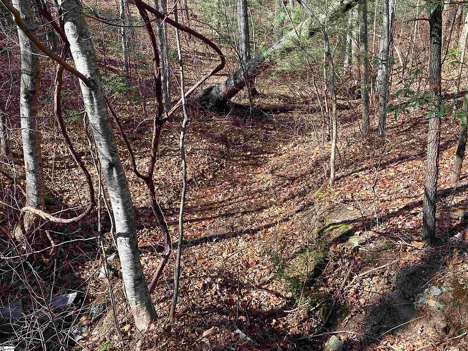 2nd image of 130 Indian Pipe Trl
