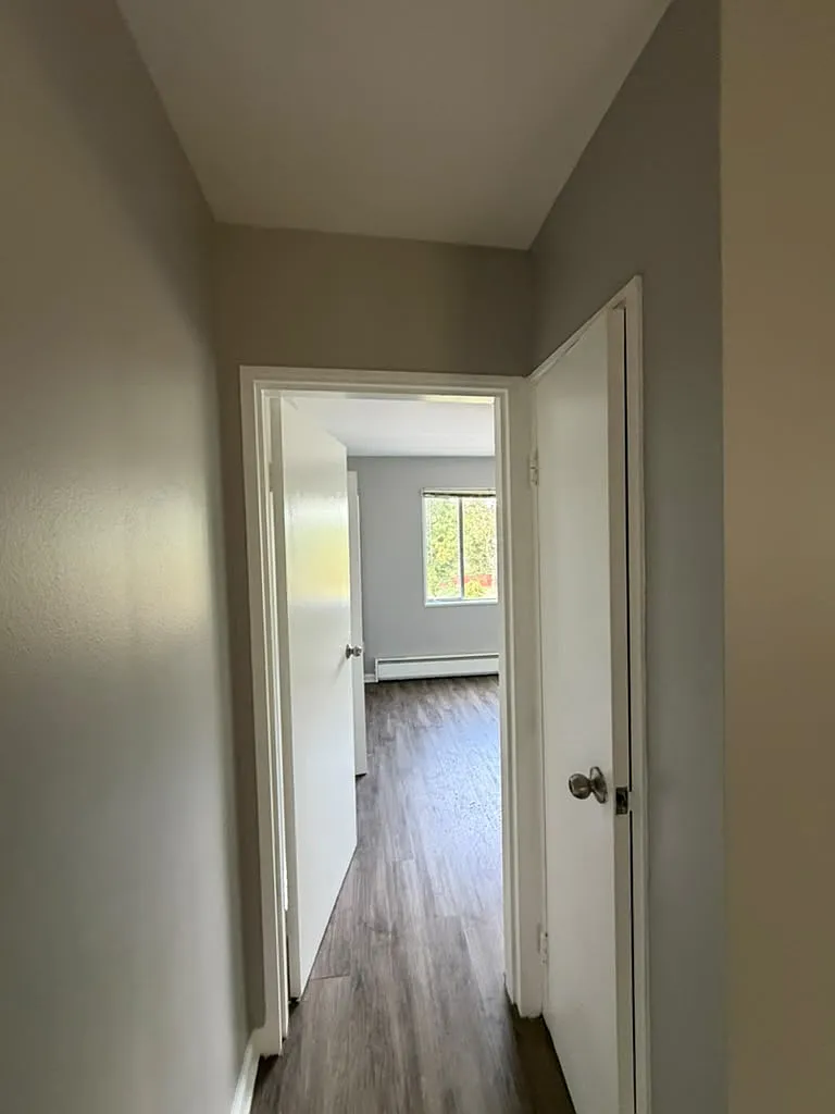 1 bed, 600 sqft, $1,500 — Photo 1