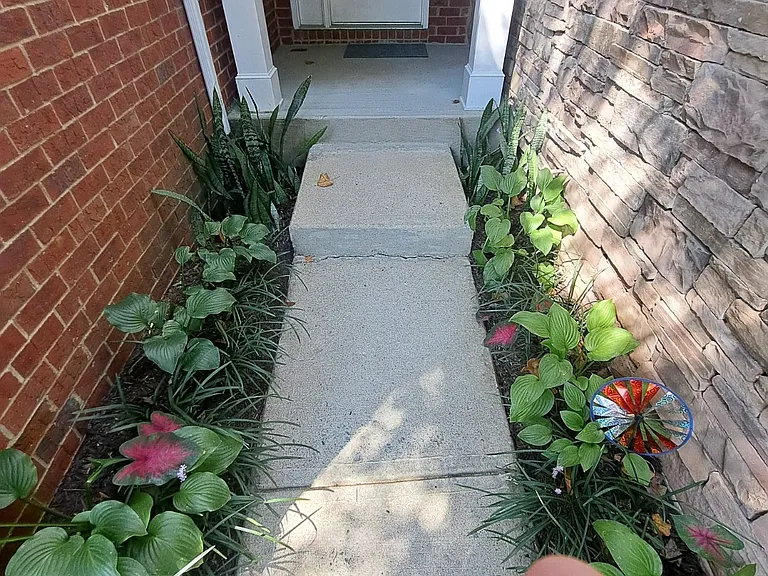 Honey Creek Ln — Photo 28