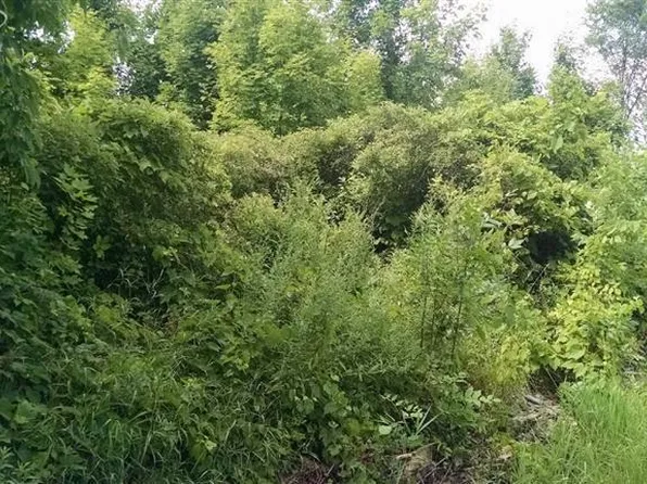 0 Linden Rd, Swartz Creek, MI 48473