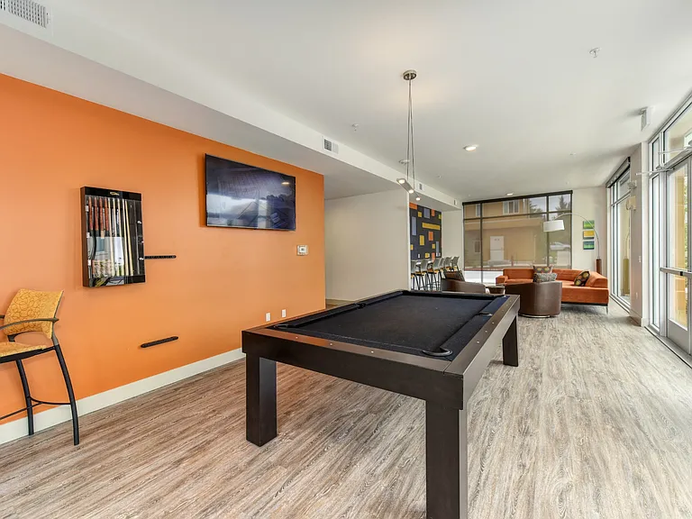 Community Clubhouse Pool Table