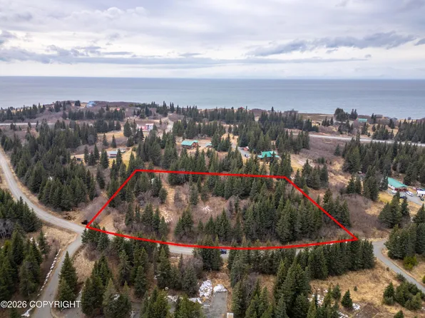 22501 Shegota Loop, Ninilchik, AK 99639
