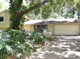 409 Bryan Oak Ave, Brandon, FL 33511