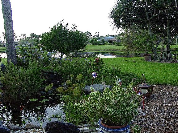 Water garden and lake