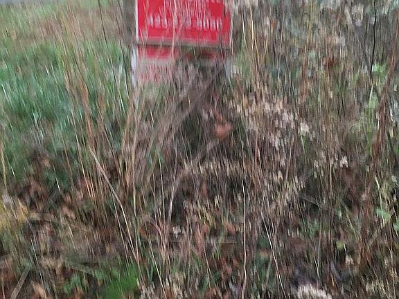 It is not in real estate 