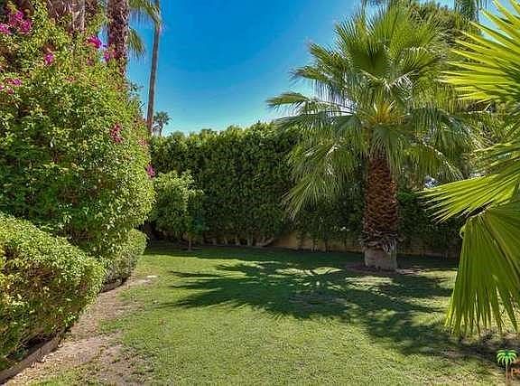 front yard