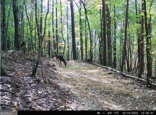 2691 Old Burnt Mountain Rd, Jasper, GA 30143