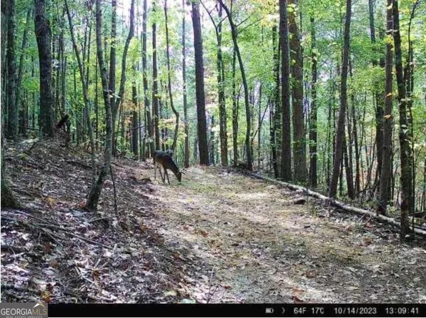 2691 Old Burnt Mountain Rd, Jasper, GA 30143