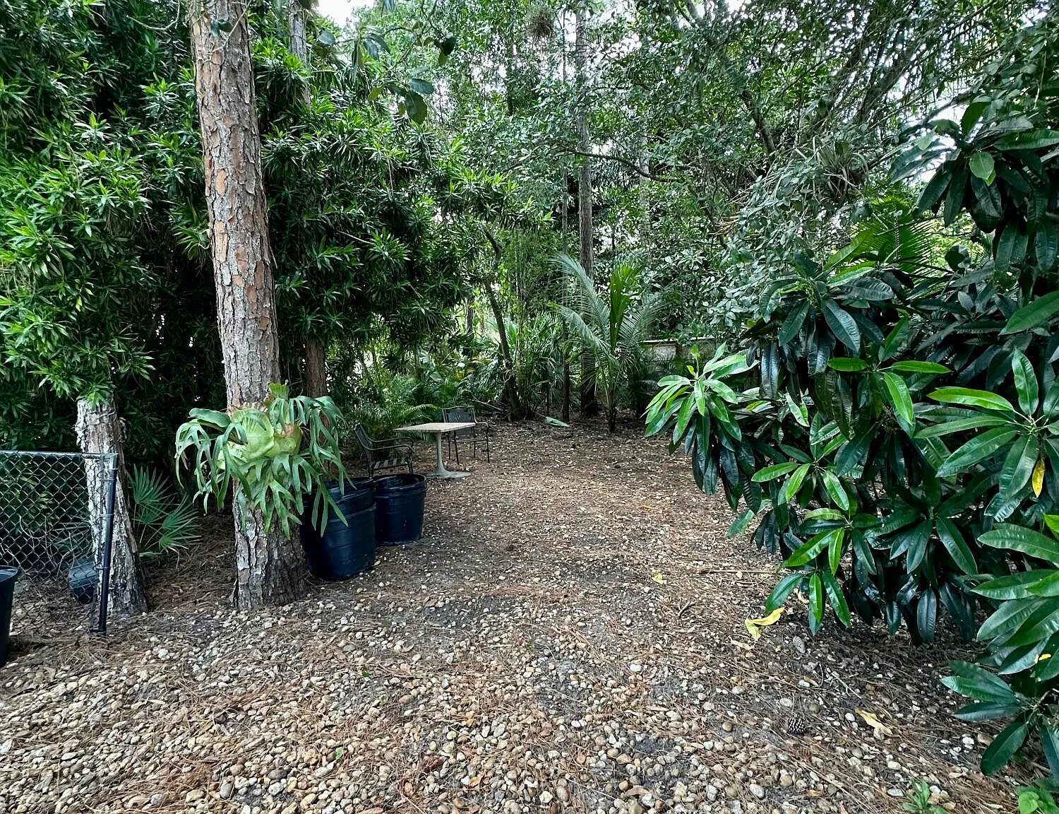 2 bed, 1.0 bath, 1974 sqft, $2,400 — Photo 4