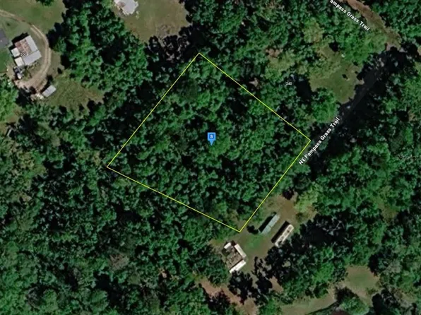 220 NE Pampass Grass Trl, Pinetta, FL 32350