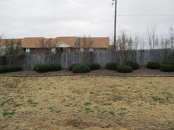 Landscaped back yard