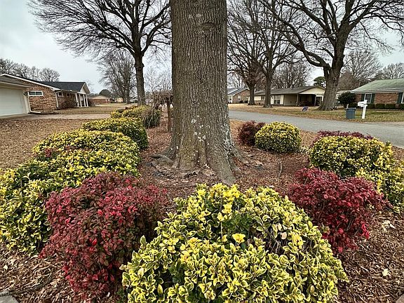 4th image of 2708 Mimosa Dr