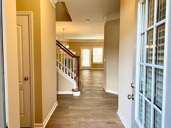 Looking in the front door