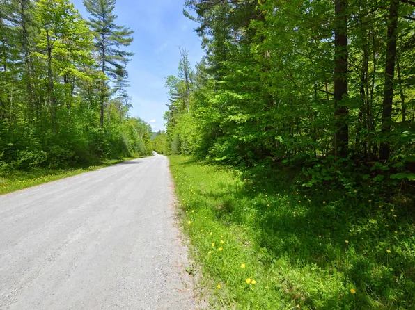 0 Old Turnpike Road, Mount Holly, VT 05758